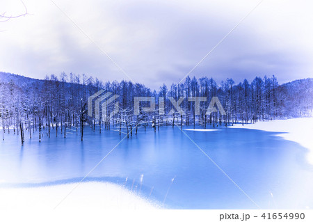 静かなる青い池 静かなる青い池 41654990