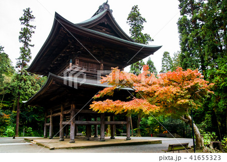 鎌倉 円覚寺 山門の紅葉の写真素材
