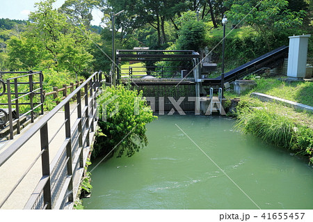 曽木の滝公園 取水口 曽木の滝公園 取水口 41655457