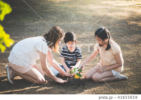 Asian children and mother planting young tree 41655659