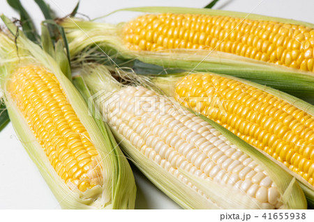 トウモロコシ 41655938