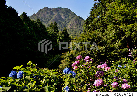 大窪寺前あじさい園と女体山（香川県さぬき市多和）3 41656413