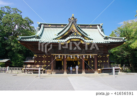 三嶋大社拝殿（静岡県三島市） 41656591