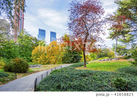 View of Central Park in New York 41658825