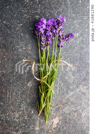 The lavender flowers. The lavender flowers. 41661290