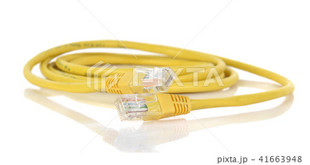 LAN network connection  on white  background 41663948
