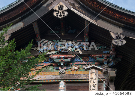 秩父神社　つなぎの龍　 41664098