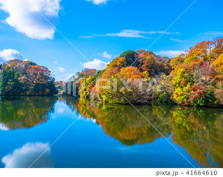 むろいけ園地の紅葉 41664610