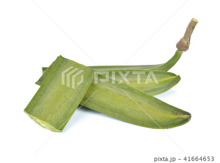 Broken Bones   isolated on white backgrod 41664653