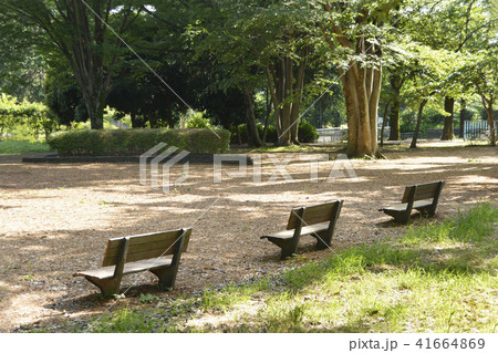 公園のベンチ 公園のベンチ 41664869