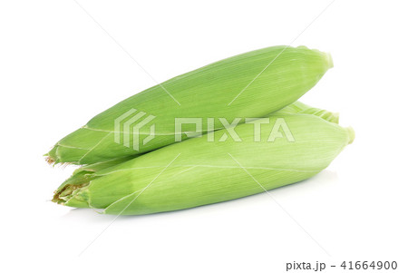 corn isolated on white background. corn isolated on white background. 41664900