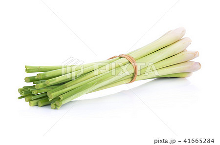 Cymbopogon citratus on white background 41665284