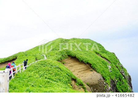 礼文島 桃岩展望台ハイキングコース 礼文島 桃岩展望台ハイキングコース 41665482