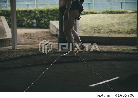 Sumo wrestling Sumo wrestling 41665506