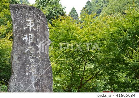 東椎屋 東椎屋 41665634
