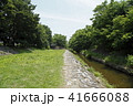 境川（町田市・相模原市） 41666088