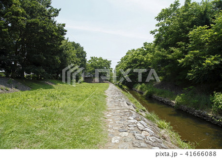 境川(町田市・相模原市) 境川(町田市・相模原市) 41666088