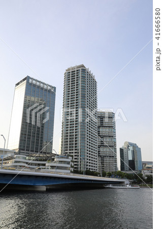 横浜 横浜 41666580