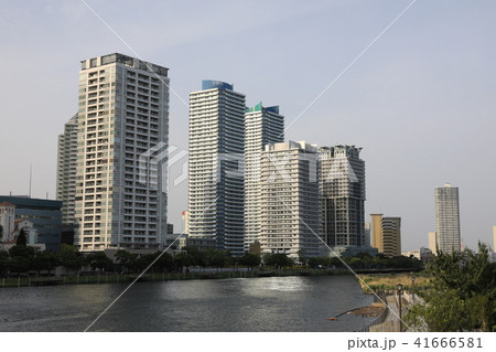 横浜 横浜 41666581