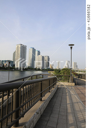 横浜 横浜 41666582