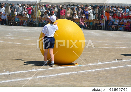 小学校の運動会風景 大玉ころがし 小学校の運動会風景 大玉ころがし 41666742