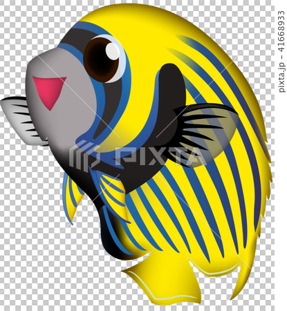Cute fish illustration: "Emperor Angelfish" vector format, white background (PNG version has a transparent background), single image. Cute fish illustration: "Emperor Angelfish" vector format, white background (PNG version has a transparent background), single image. 41668933