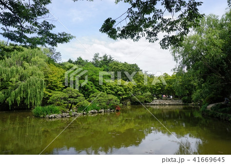 仏教 寺院 レース 41669645