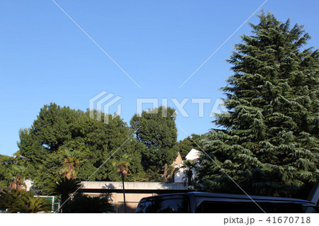 赤羽台夏景色 赤羽台夏景色 41670718