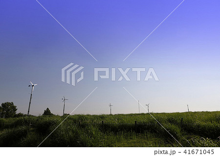 緑地 グリーン 空 41671045