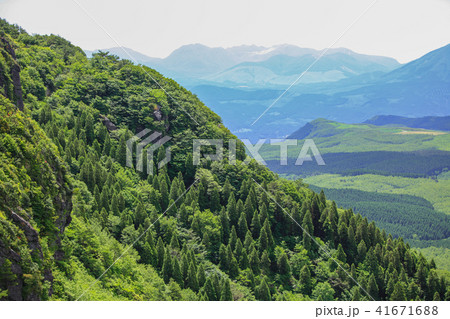 万年山 万年山 41671688