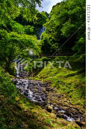 (静岡県)旭滝 (静岡県)旭滝 41671721