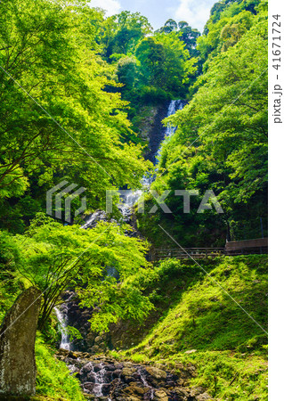 (静岡県)旭滝 (静岡県)旭滝 41671724