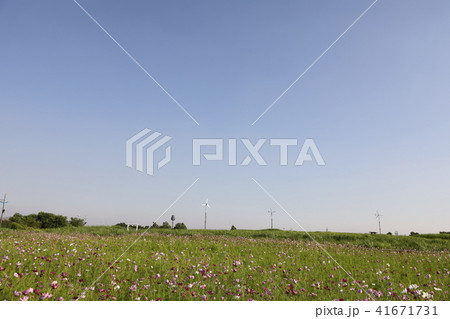 緑地 風 春 41671731