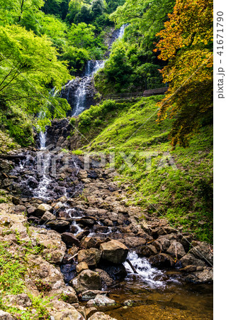 (静岡県)旭滝 (静岡県)旭滝 41671790