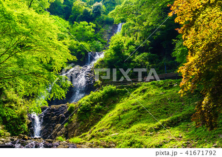 （静岡県）旭滝 41671792