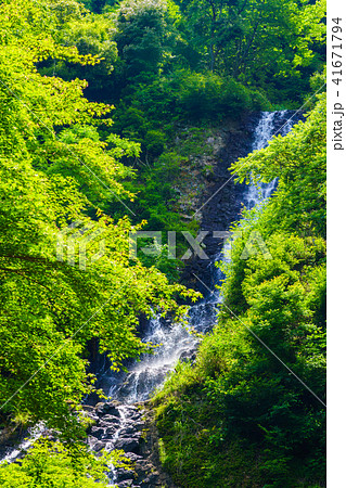 (静岡県)旭滝 (静岡県)旭滝 41671794