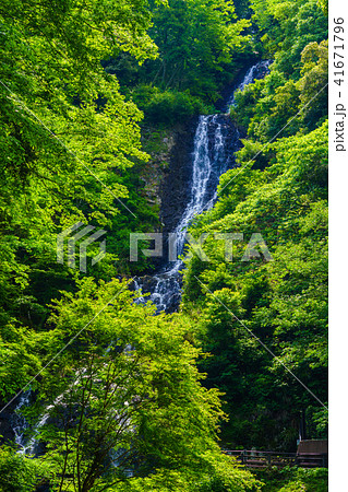 （静岡県）旭滝 41671796