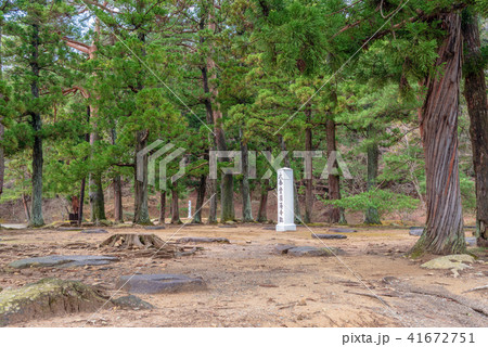 毛越寺 金堂円隆寺跡 41672751