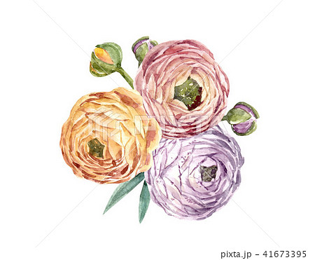 Watercolor floral composition 41673395