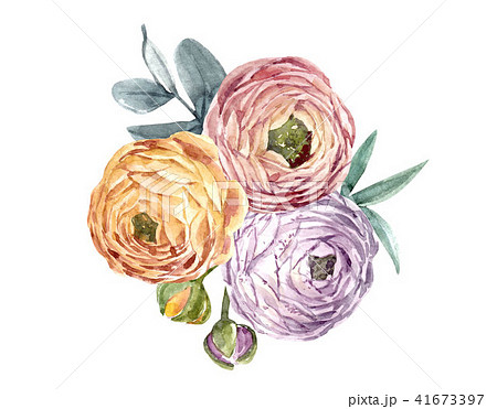 Watercolor floral composition 41673397