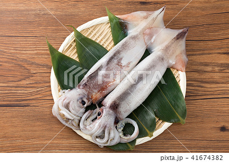 スルメイカ 41674382