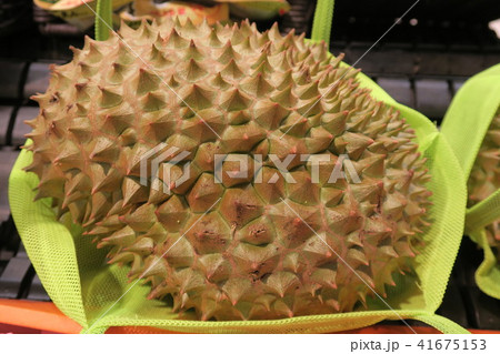 ドリアン 41675153