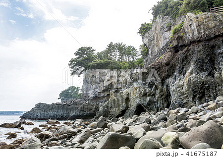 済州島 西帰浦市 自然 41675187