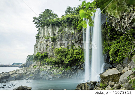 済州島 西帰浦市 正方滝 41675312