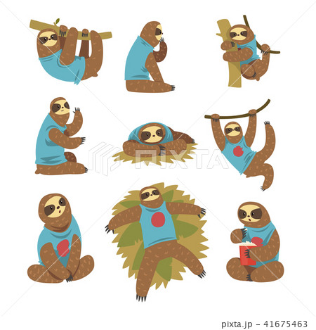 Funny sloths set, lazy exotic rainforest animal character in different postures vector Illustrations 41675463