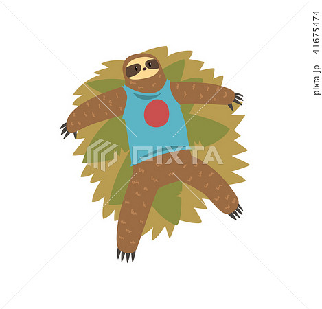 Funny sloth lying on the grass, lazy exotic rainforest animal character vector Illustrations on a Funny sloth lying on the grass, lazy exotic rainforest animal character vector Illustrations on a 41675474