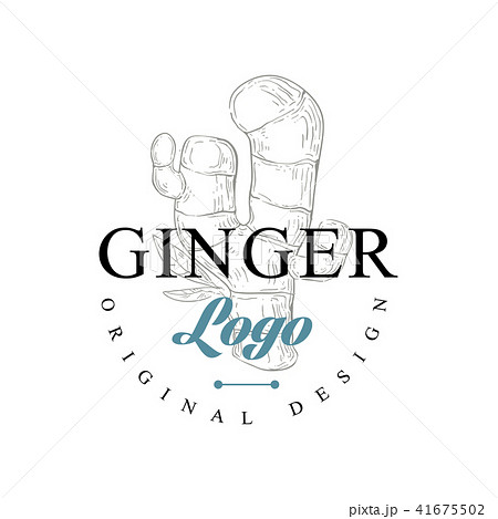 Ginger logo original design, culinary spice emblem vector Illustration on a white background 41675502