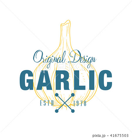 Garlic logo original design estd 1978, culinary spice retro emblem vector Illustration on a white 41675503