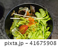 japanese fresh vegetable salad 41675908