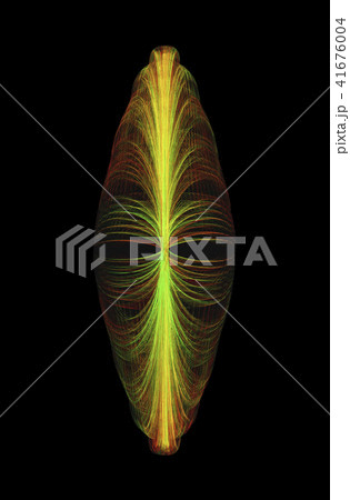 Narrow Shaped African Mask Isolated On Black 41676004